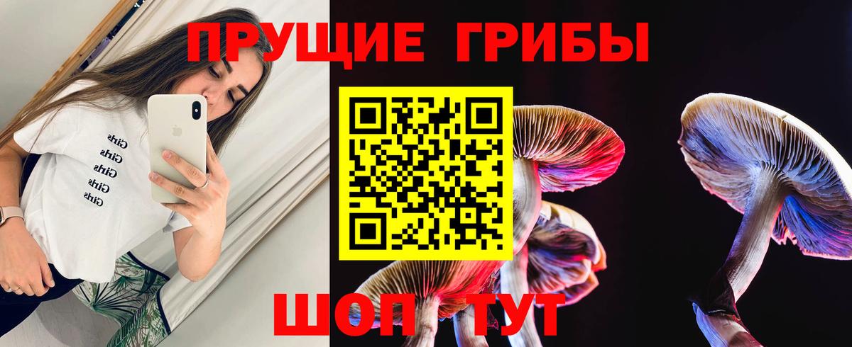 Мыски  Галлюциногенные грибы мицелий  Вход с VPN 